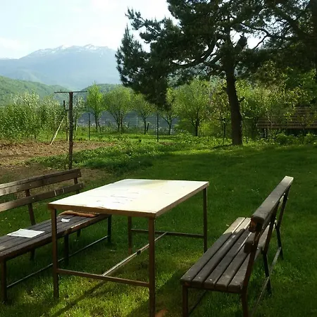 Holiday home Vikend Kuca Oaza *